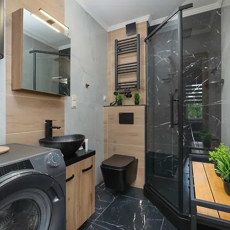 Elegant And Modern In For 3 People By Renters Apartment Katowice