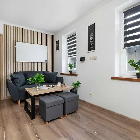Apartment Elegant And Modern In For 3 People By Renters *