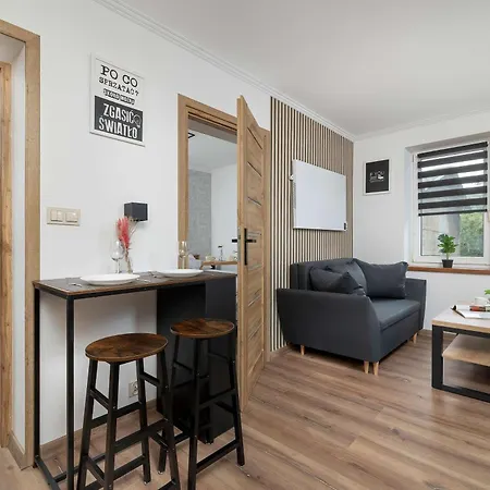 Elegant And Modern In For 3 People By Renters Apartment Katowice