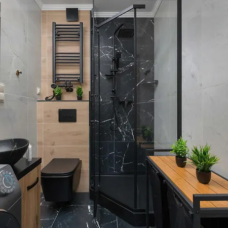 Apartment Elegant And Modern In For 3 People By Renters *